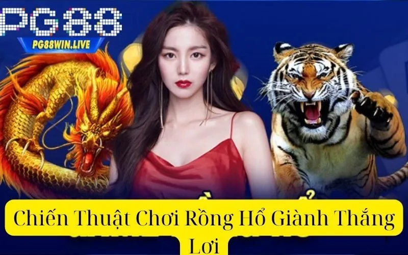 Chiến Thuật Chơi Rồng Hổ Giành Thắng Lợi