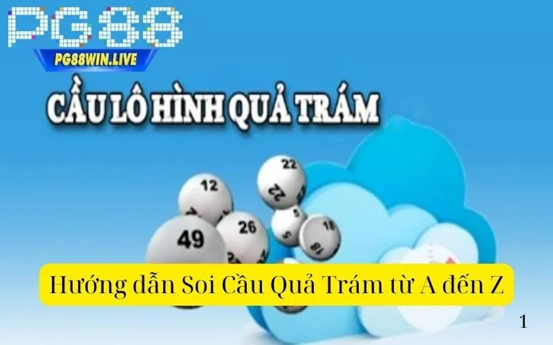 Hướng dẫn Soi Cầu Quả Trám từ A đến Z