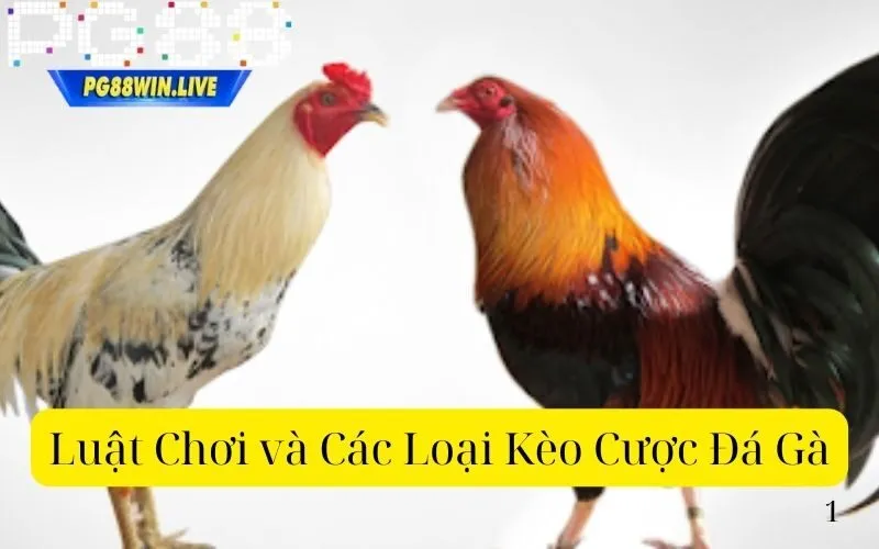 Luật Chơi và Các Loại Kèo Cược Đá Gà