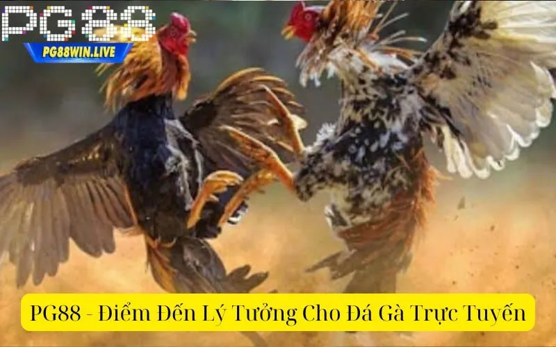 PG88 - Điểm Đến Lý Tưởng Cho Đá Gà Trực Tuyến