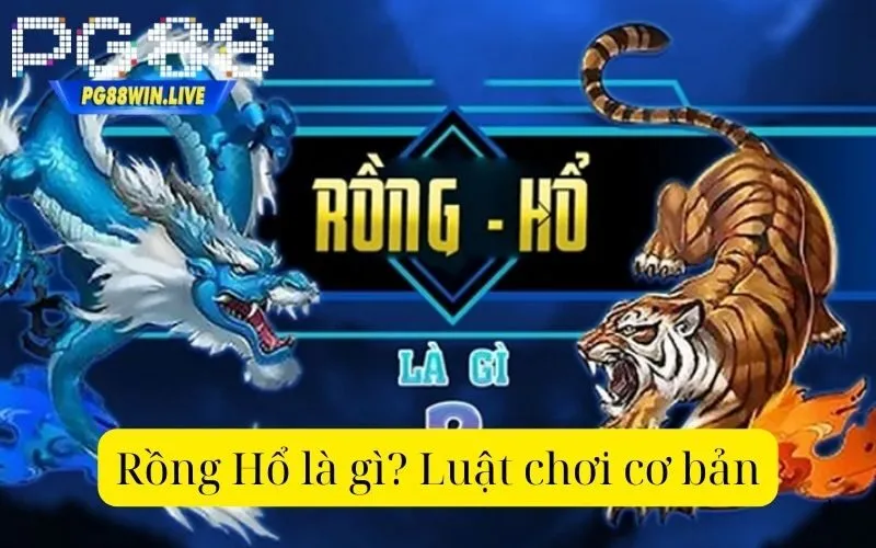 Rồng Hổ là gì? Luật chơi cơ bản