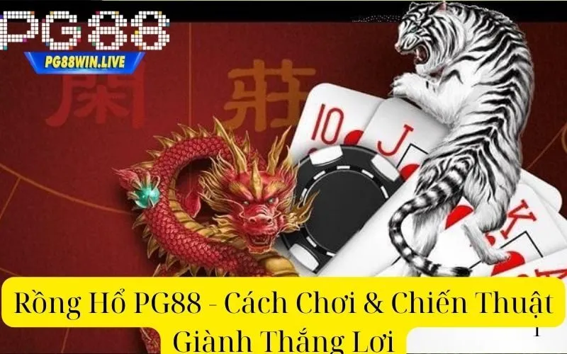 Rồng Hổ PG88 - Cách Chơi & Chiến Thuật Giành Thắng Lợi